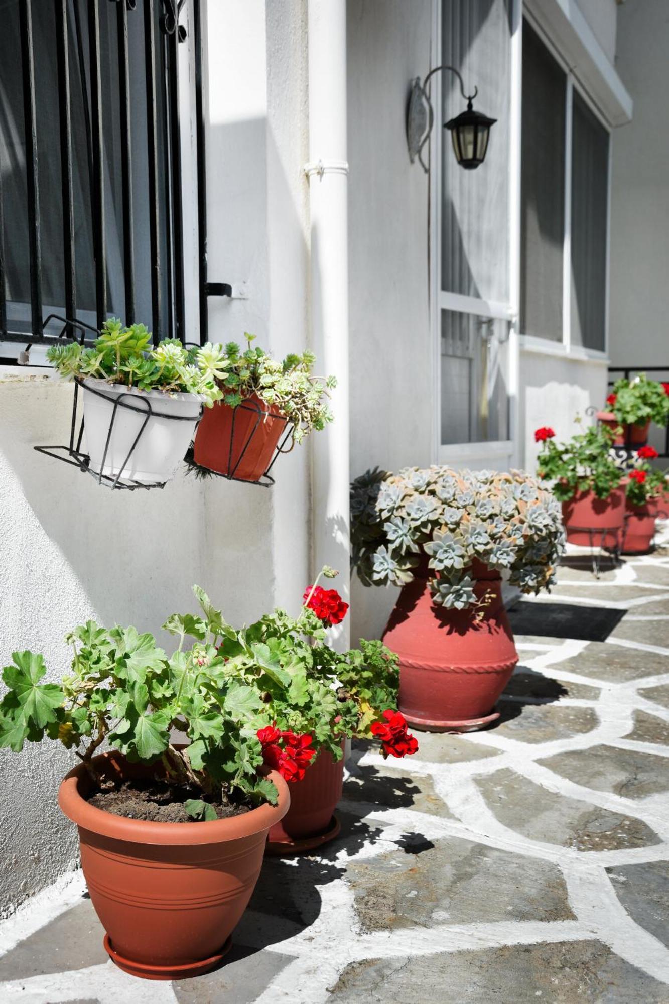 Rent House Daphne Apartment Kavála Luaran gambar